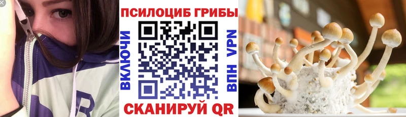 Галлюциногенные грибы прущие грибы как найти наркотики Железногорск